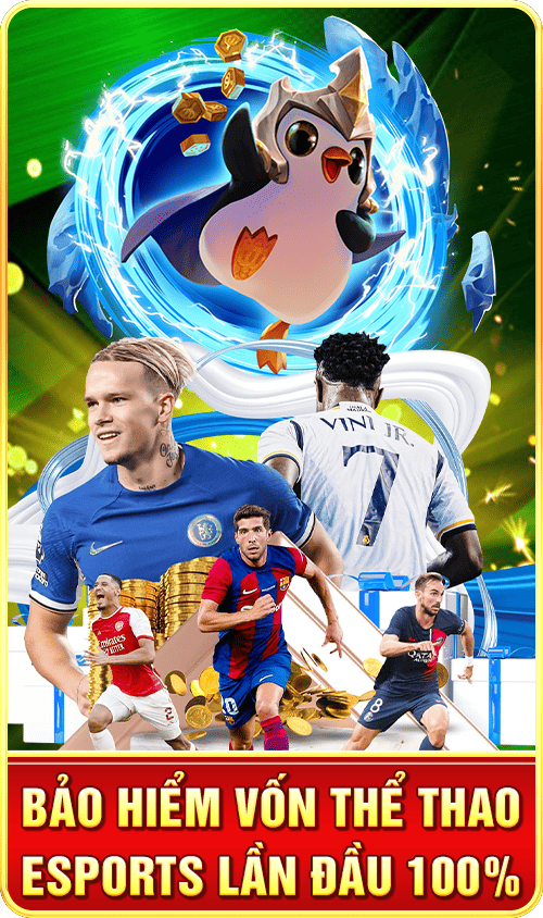 bảo hiểm vốn thể thao tk88